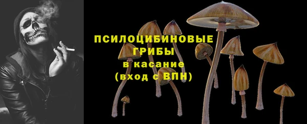 jwh Михайлов