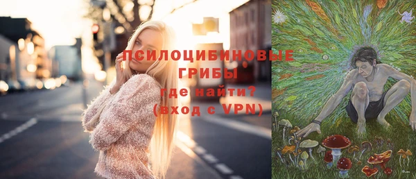 молекула духа Навашино