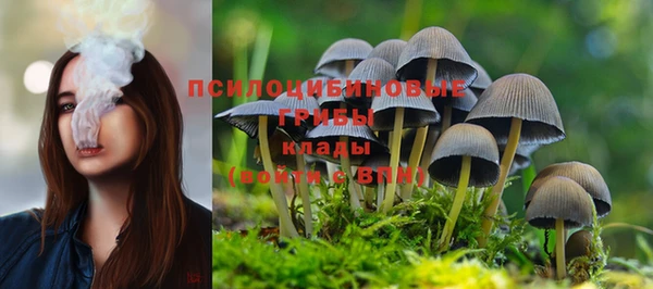 мяу мяу кристалл Надым