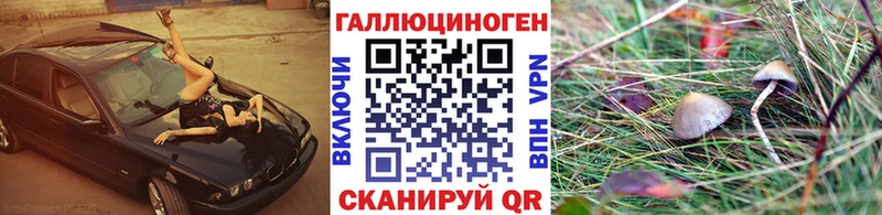Псилоцибиновые грибы MAGIC MUSHROOMS Мурино