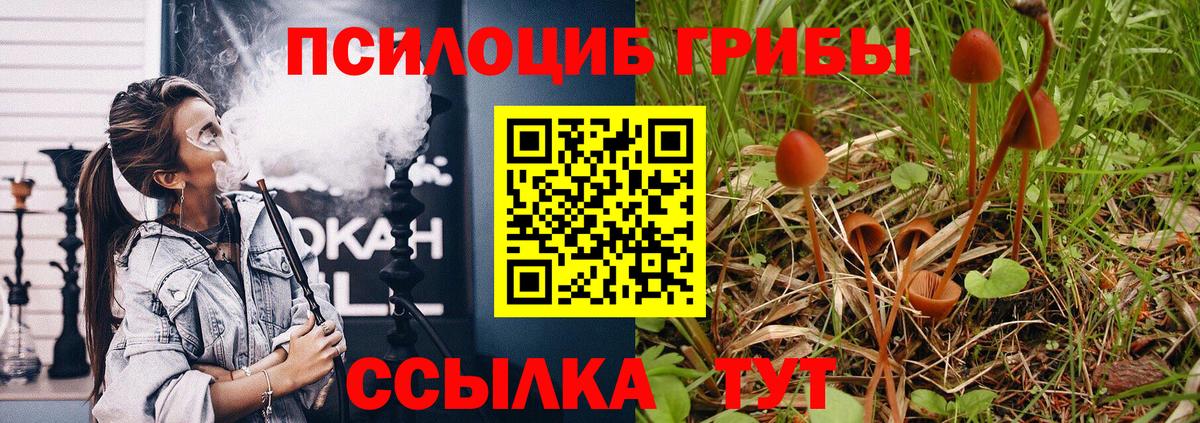 Псилоцибиновые грибы ЛСД  Псилоцибиновые грибы мицелий  Вход с VPN  Мурино 