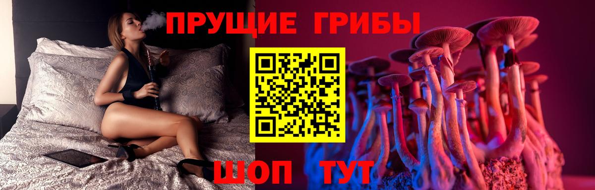 Галлюциногенные грибы мицелий  Галлюциногенные грибы GOLDEN TEACHER  Мурино 