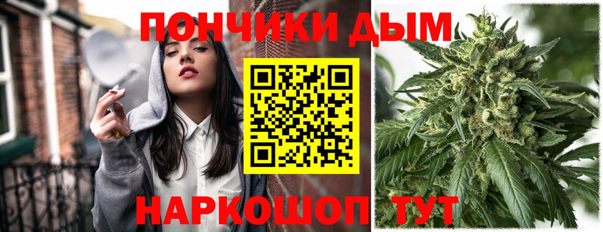 Шишки марихуана конопля Мурино